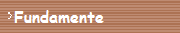 Fundamente
